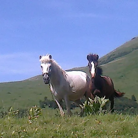 Country House Malo Selo بودغوريتْسا
